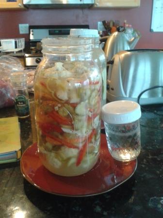 ferment 1.jpg