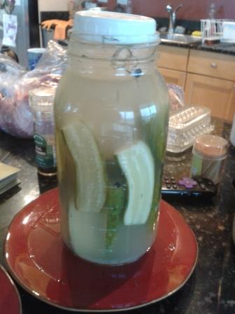 ferment 3.jpg