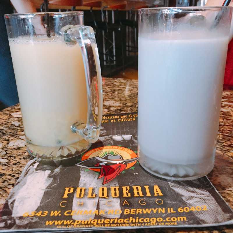 Two Pulques, pineapple and cocoanut, photo David Hammond.JPG