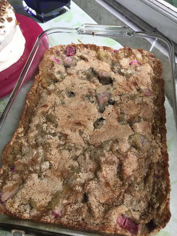 2017-07 Pairs4Life Rhubarb bake.jpg
