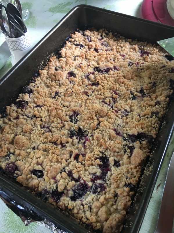 2018-07 Blueberry Crumble Bar IrisArbor.jpg