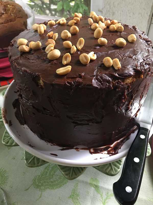 2018-07 Layered Cake with Chocolate Frosting and Peanuts - Jenny IL.jpg