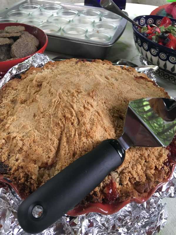 2018-07 Rhubarb Pie Jenny IL.jpg