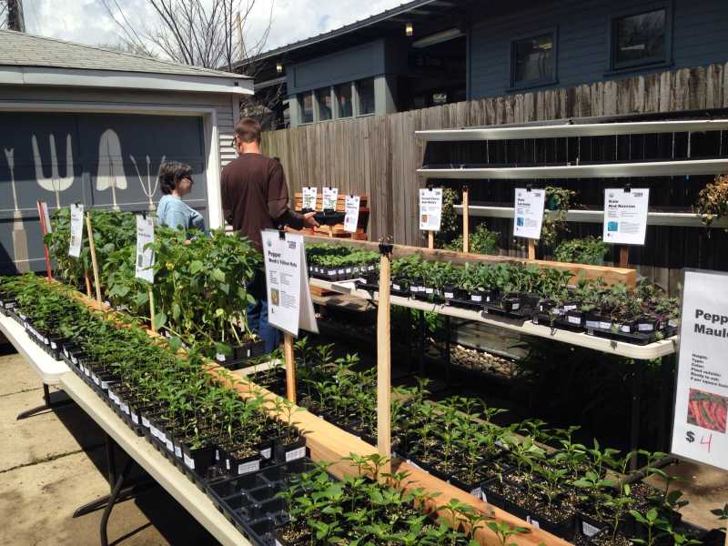 PGP plant sale.jpg